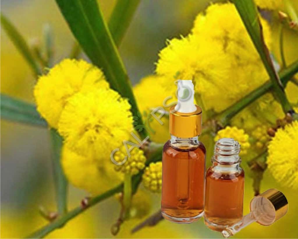 Buy 100% Pure Cassie Flower Absolute Oil